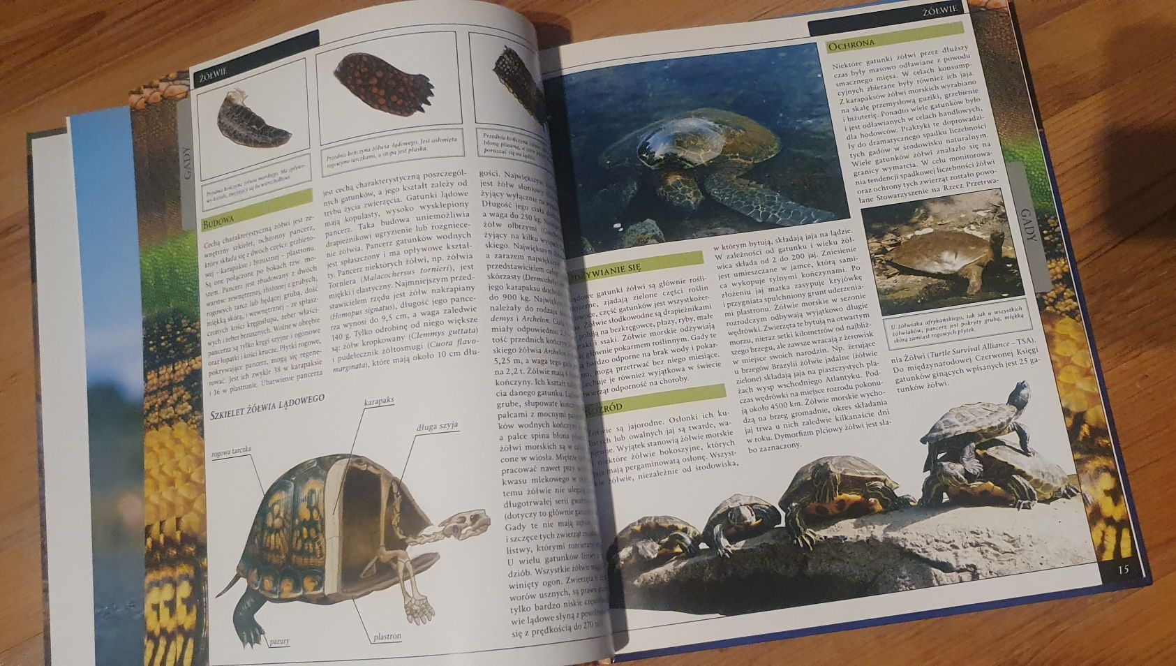 Encyklopedia zwierząt Gady