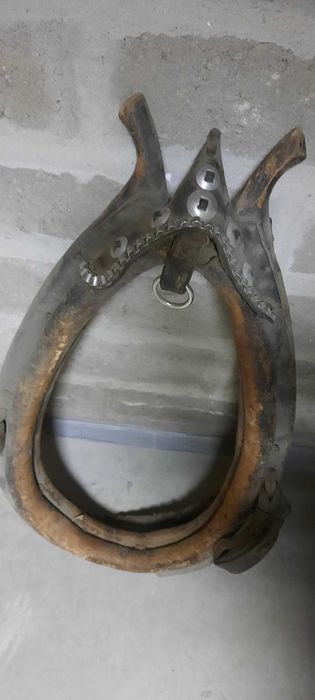 Homonto końskie, stare