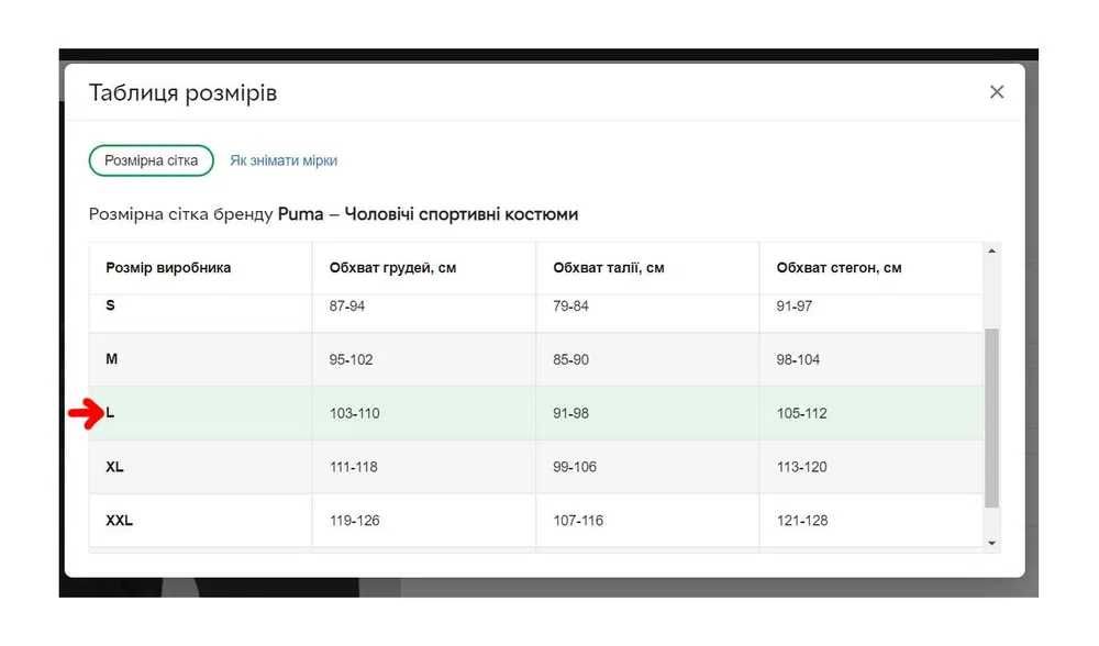 Чоловічий Cпортивний костюм Puma