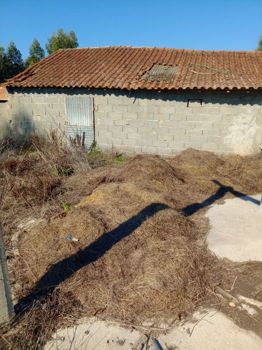 Palha agricultura