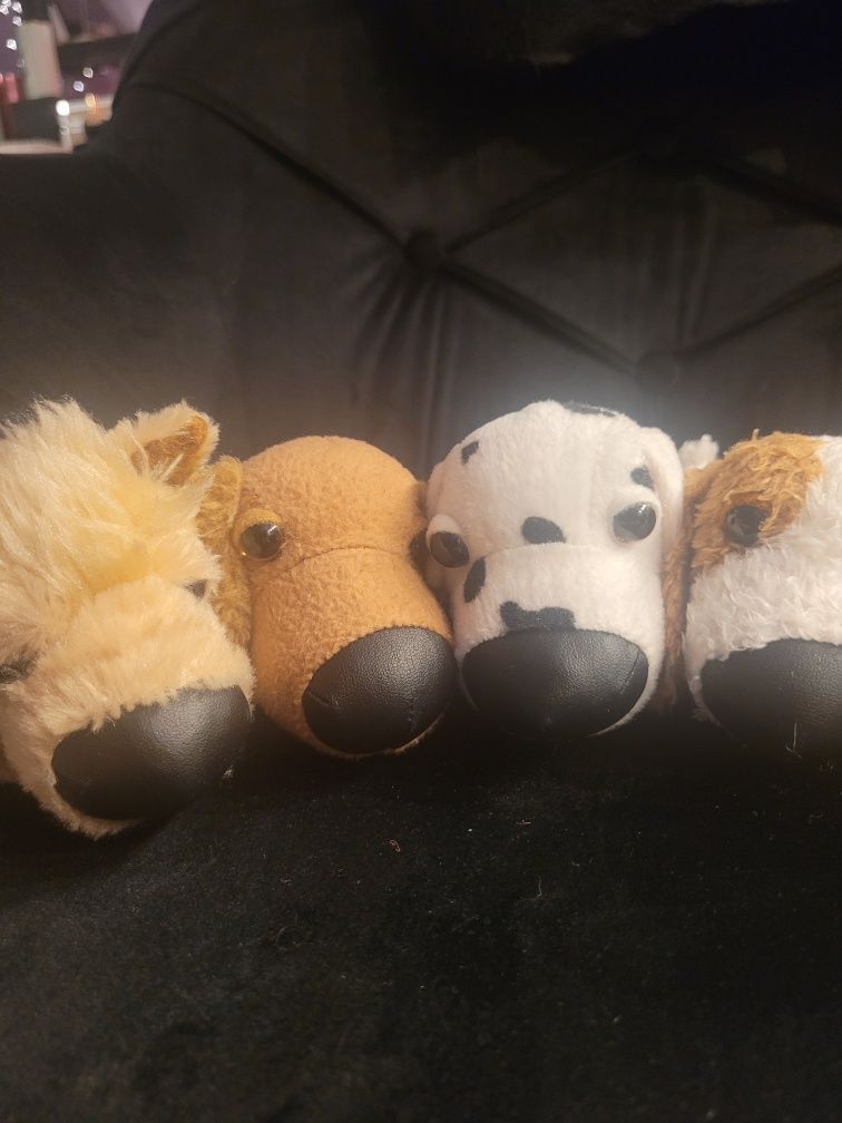 7 piesków the dog pieski jamnik dalmatyńczyk zestaw