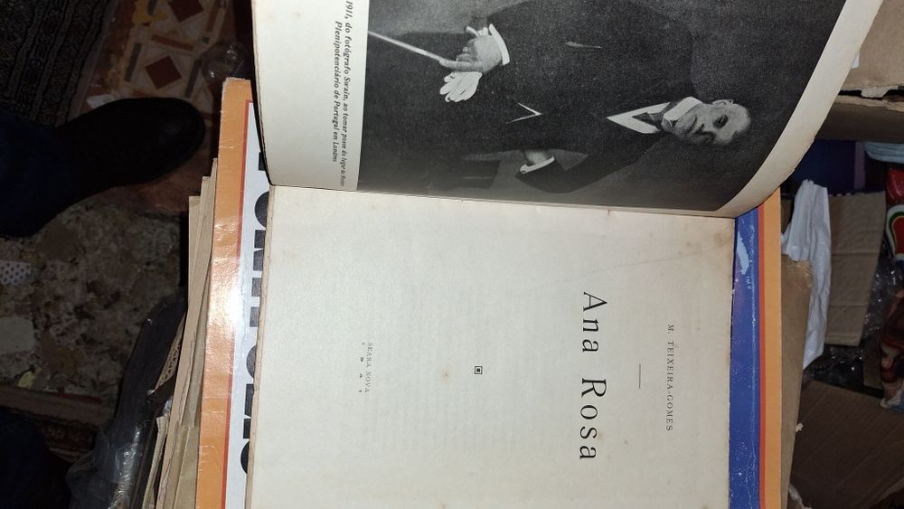 M Teixeira gomes Ana Rosa 1941 novela erótica