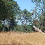 Terreno  para venda