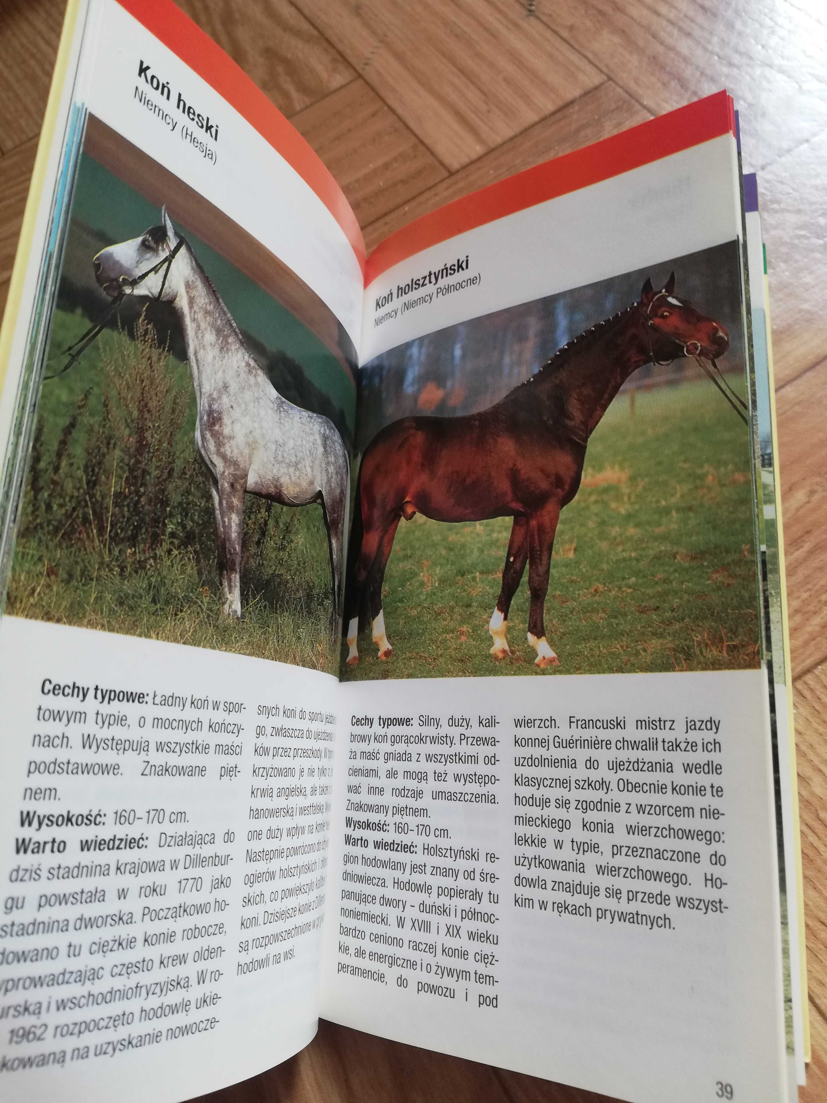 ksiazka: ,,Konie i kuce"