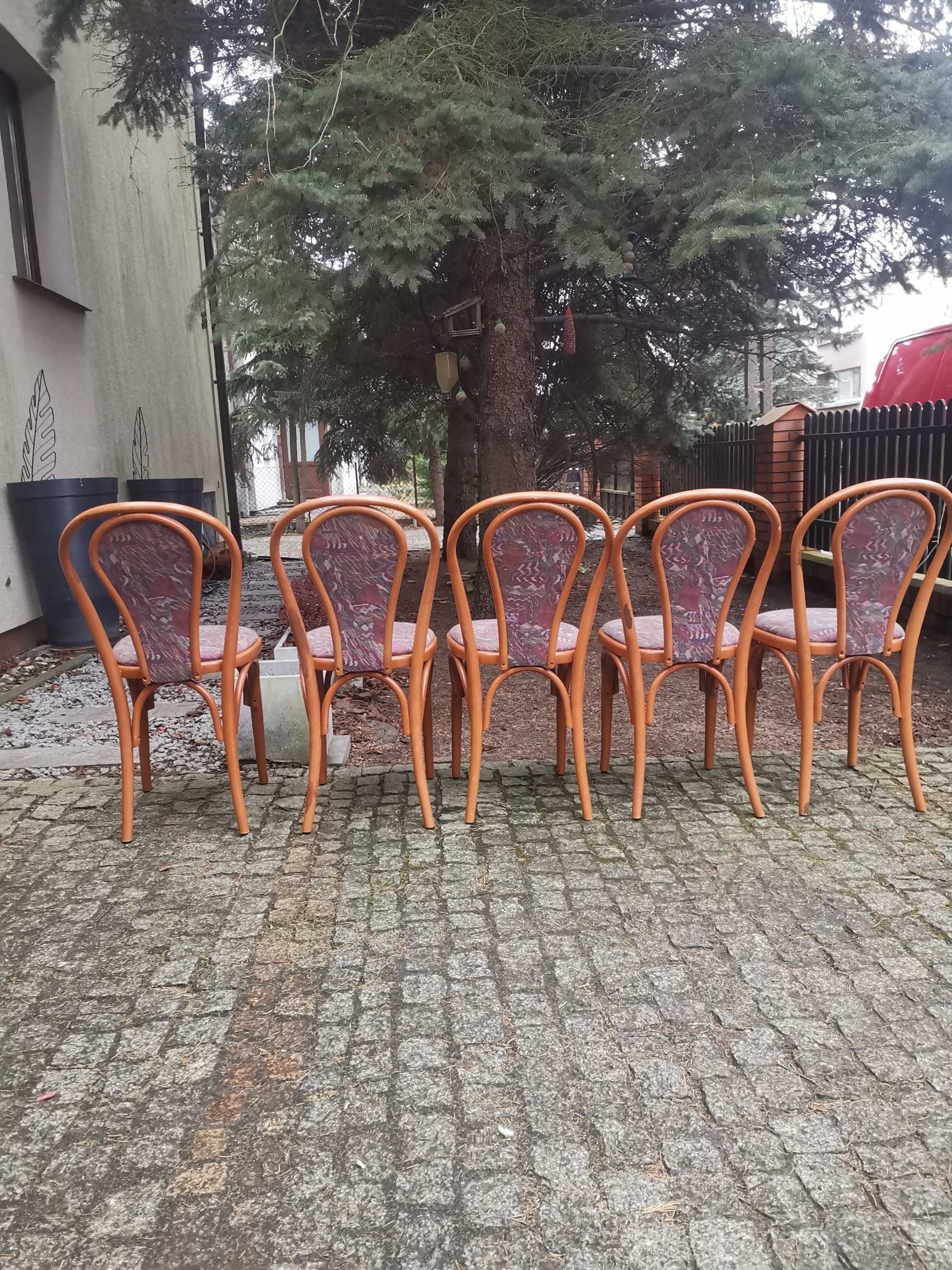 Gięte Bukowe krzesła fameg Radomsko A - 18 tapicerowane. Piękny stan