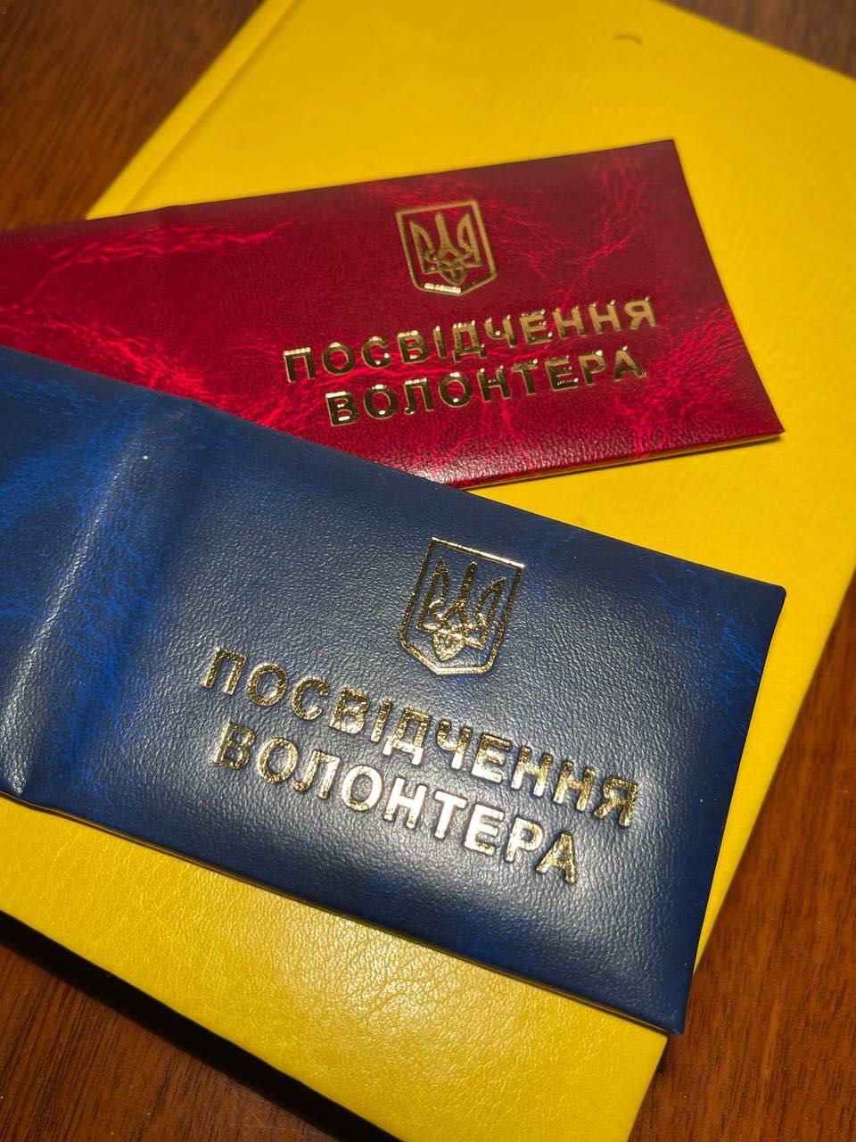 Посвідчення ДСНС та інші