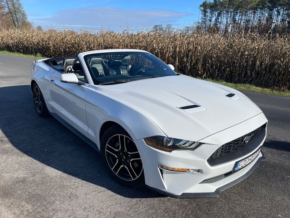 Ford Mustang FORD MUSTANG, 2.3 ecoboost, nienaganny stan