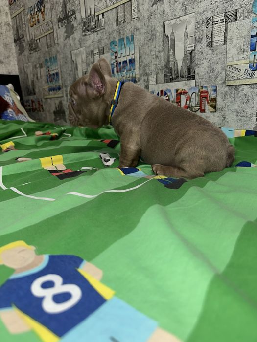 Топ якість хлопчик