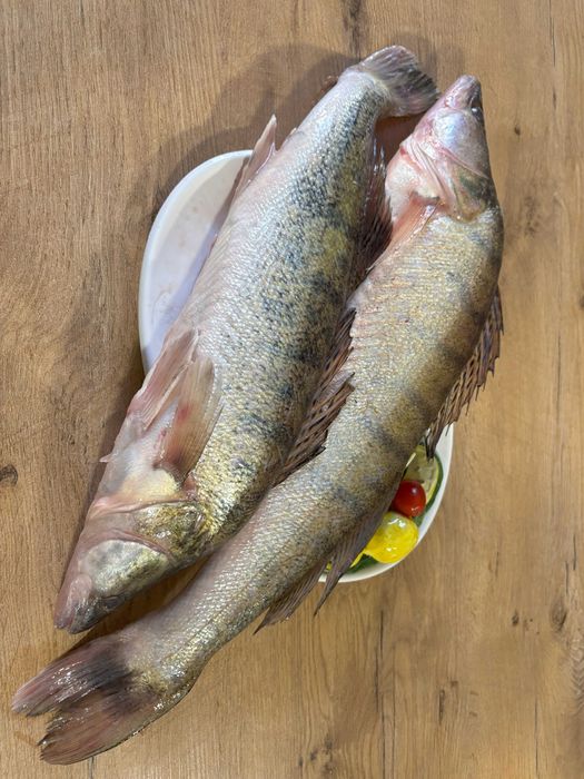 Sandacz konsumpcyjny, świeży, patroszony, filet