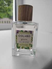 Colabo Green clary sage & basil