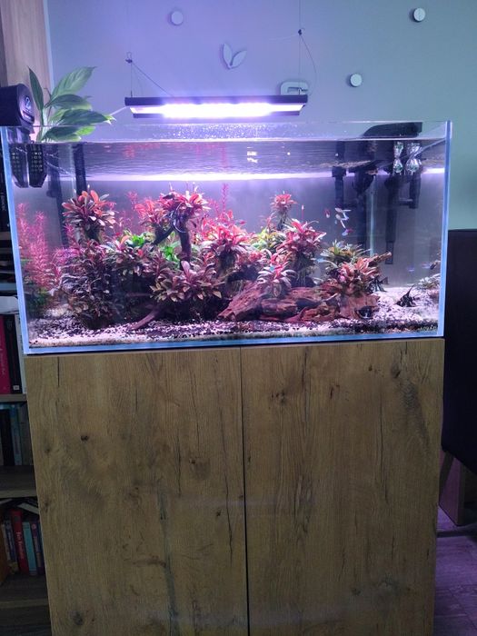 Akwarium Ultra scaper 243 zestaw mega !!!