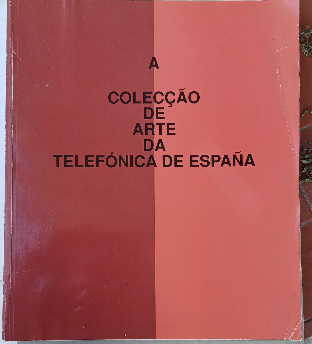 Arte A Coleção de Arte da Telefónica de Espanha Rara. Raro