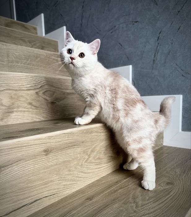 Нежный, ласковый мальчик