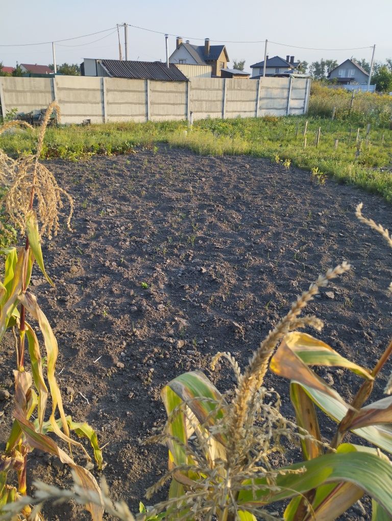 Продам земельну ділянку в Борисполі