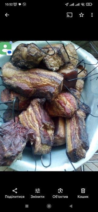 Поросята породи Мангалиця, є забій вагою 60-120 кг тушка, по100 гривен