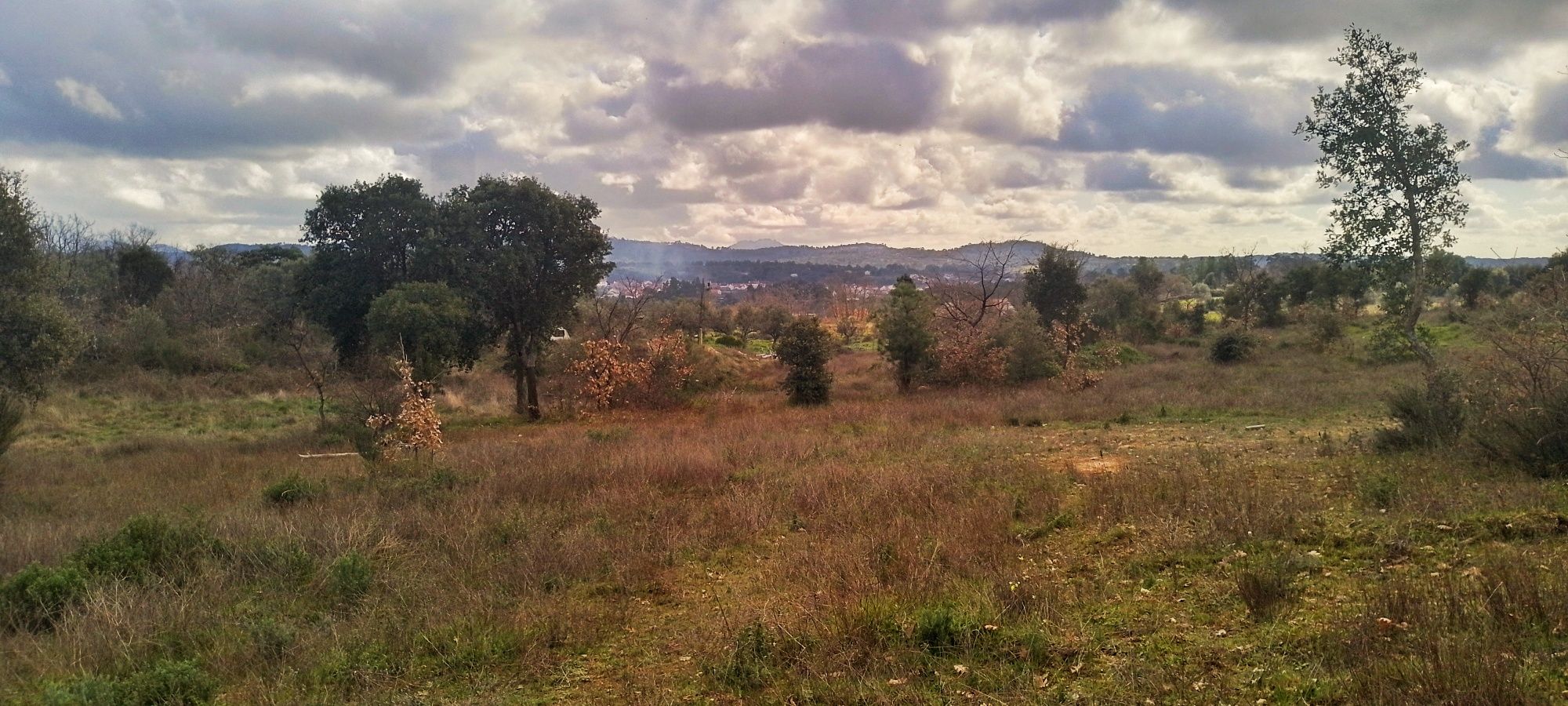 Terreno Rústico/ Agricultural Land