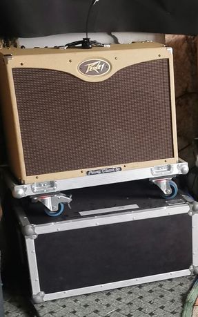 Peavey Classic 50 + case