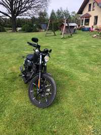 Harley Davidson Sportster 883 iron
