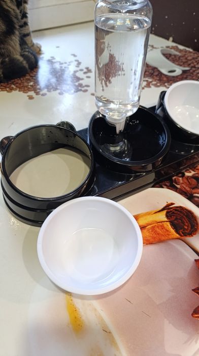 Миска + автоматическая поилка для котов