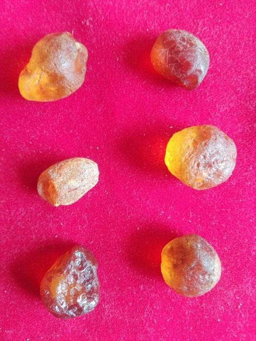 Bursztyn - "bursztynowe łzy".