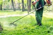 Limpeza de terreno e jardinagem