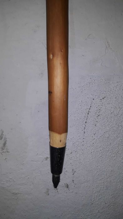 Paú de Caminhante de Colecção Privada #4