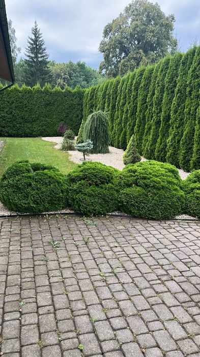 dom parterowy na sprzedaż