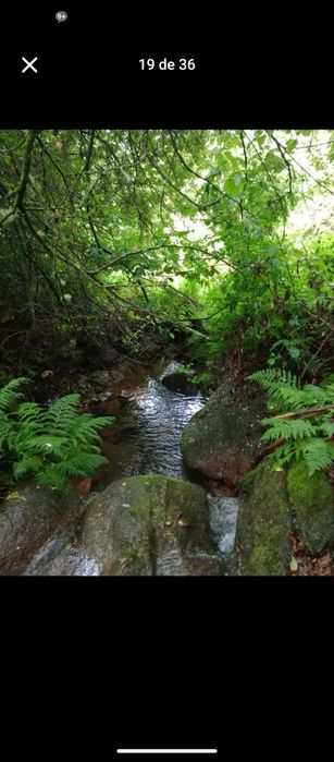 Casa no rio em terreno rústico