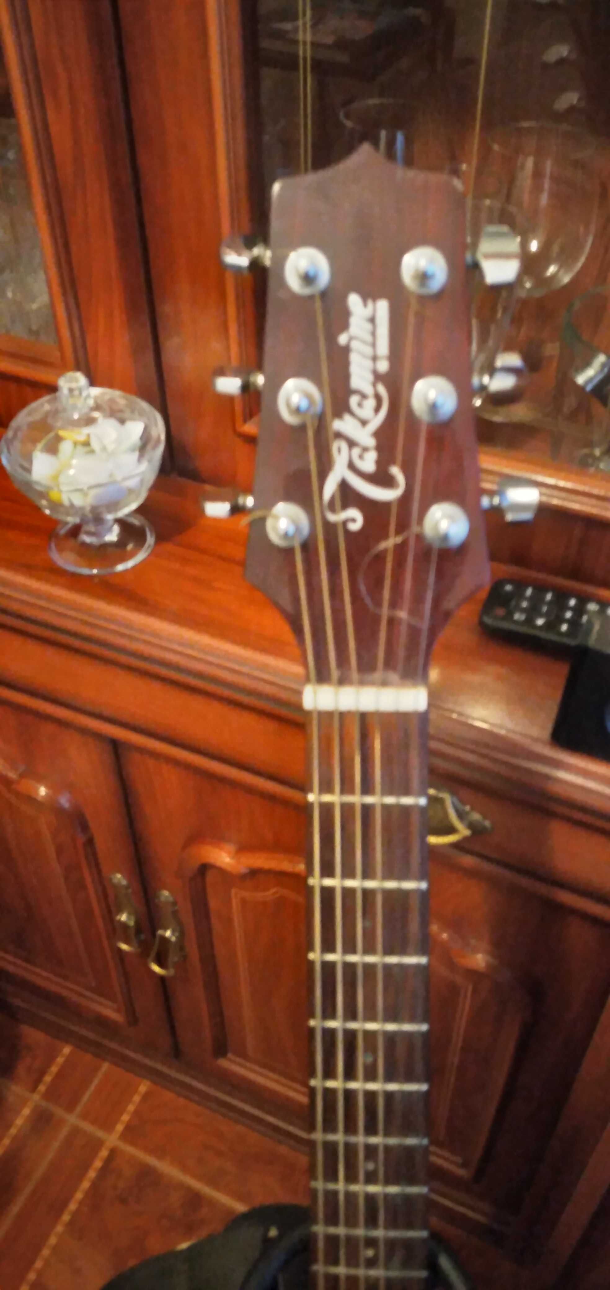 Takamine G SERIES