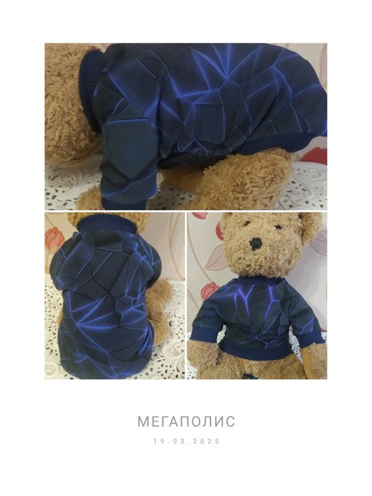 Стильний одяг для собак