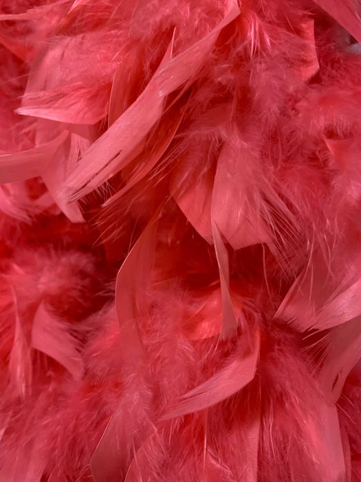 Карнавальное большое розовое БОА из лебяжьих перьев и пуха