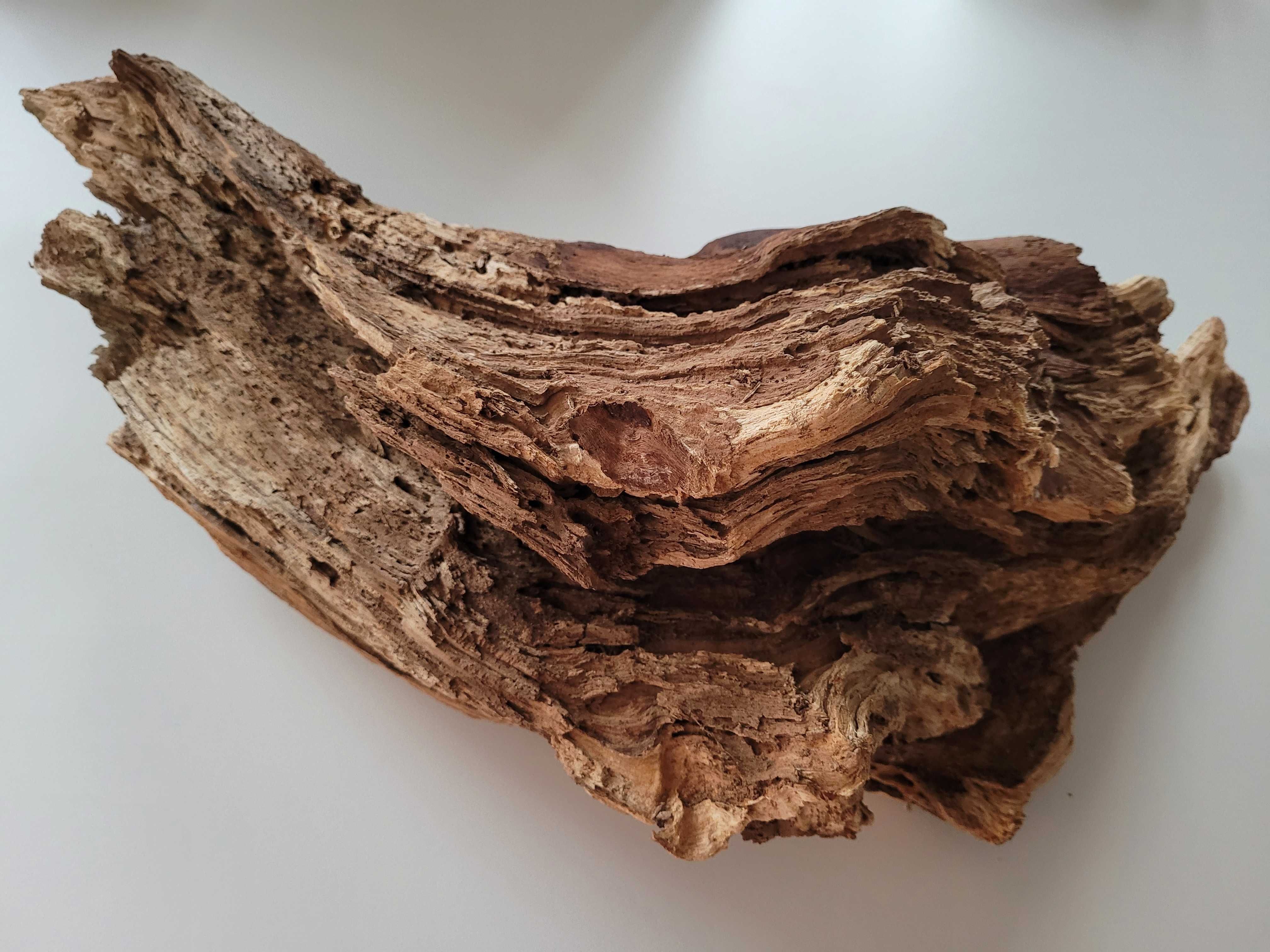 duży korzeń naturalny do akwarium terrarium dł. 55 cm ze szczeliną