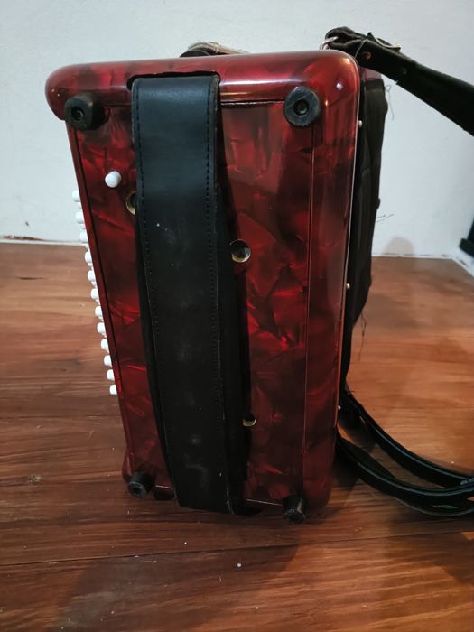 Acordeão Sonantti Excelente estado