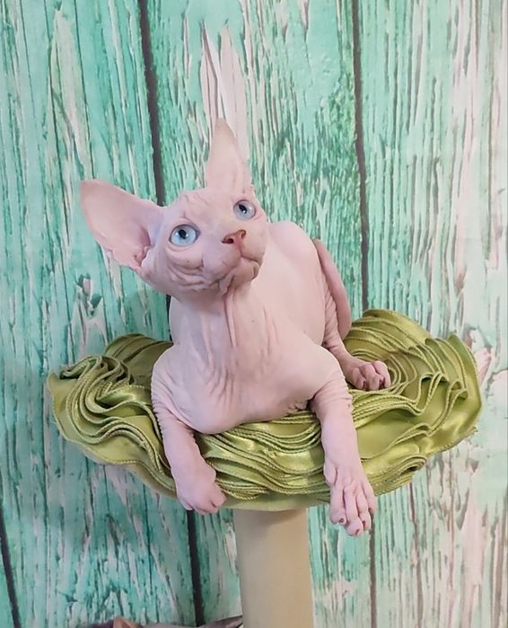 Голубоокий блондин