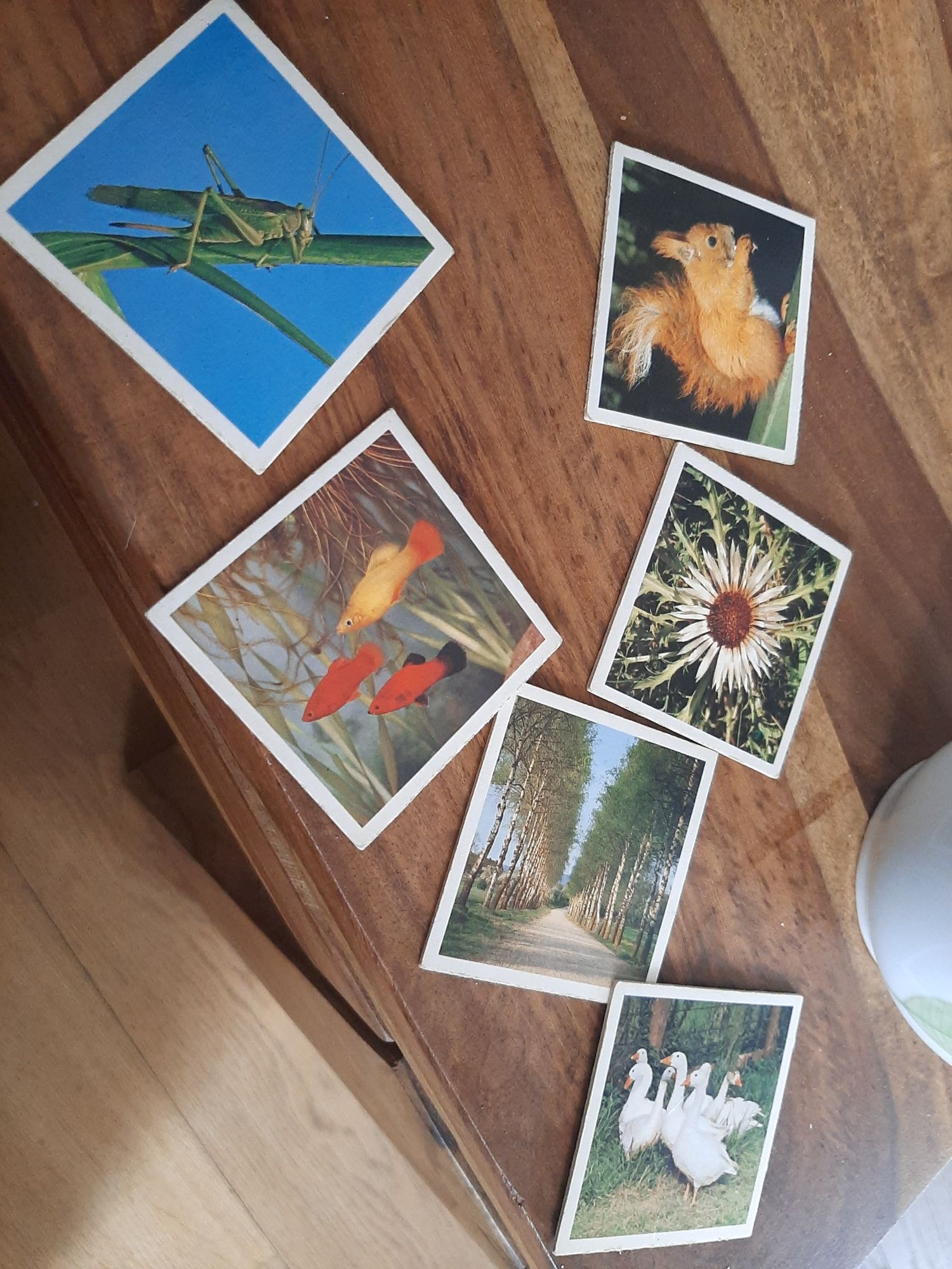 Stare memory Ravensburger z lat 90, natura, przyroda