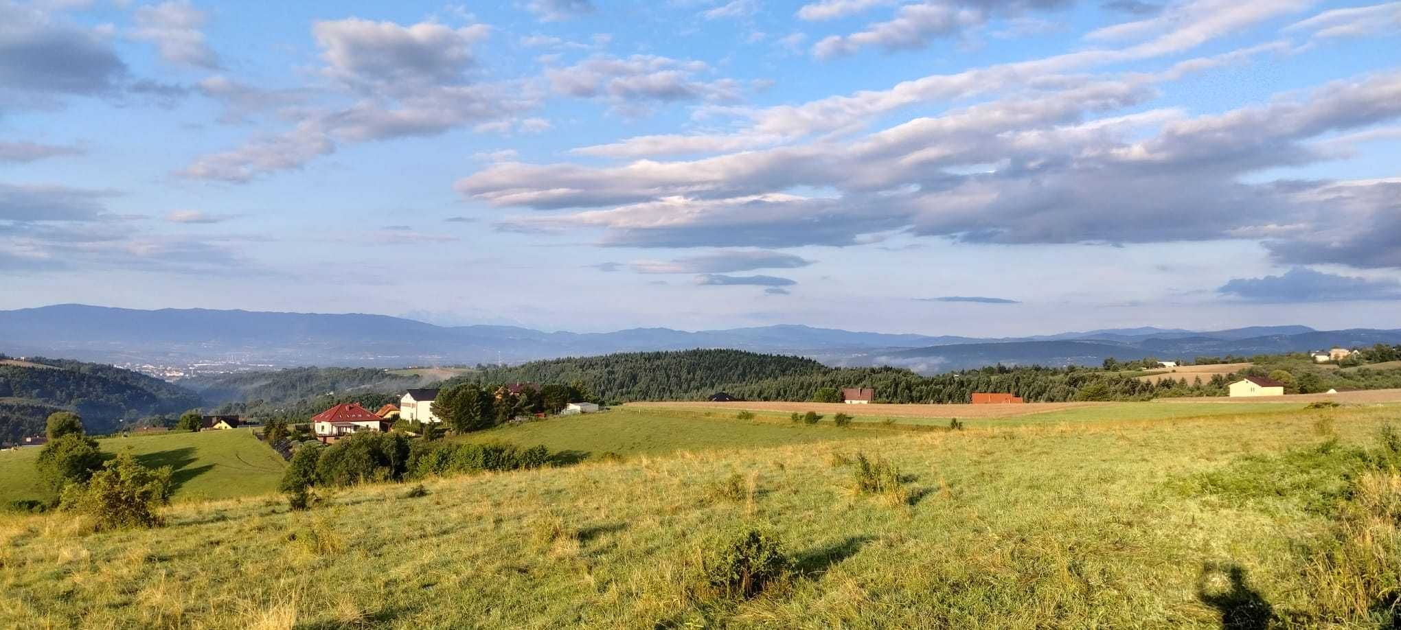 Domek przy lesie "Cisza i relaks"