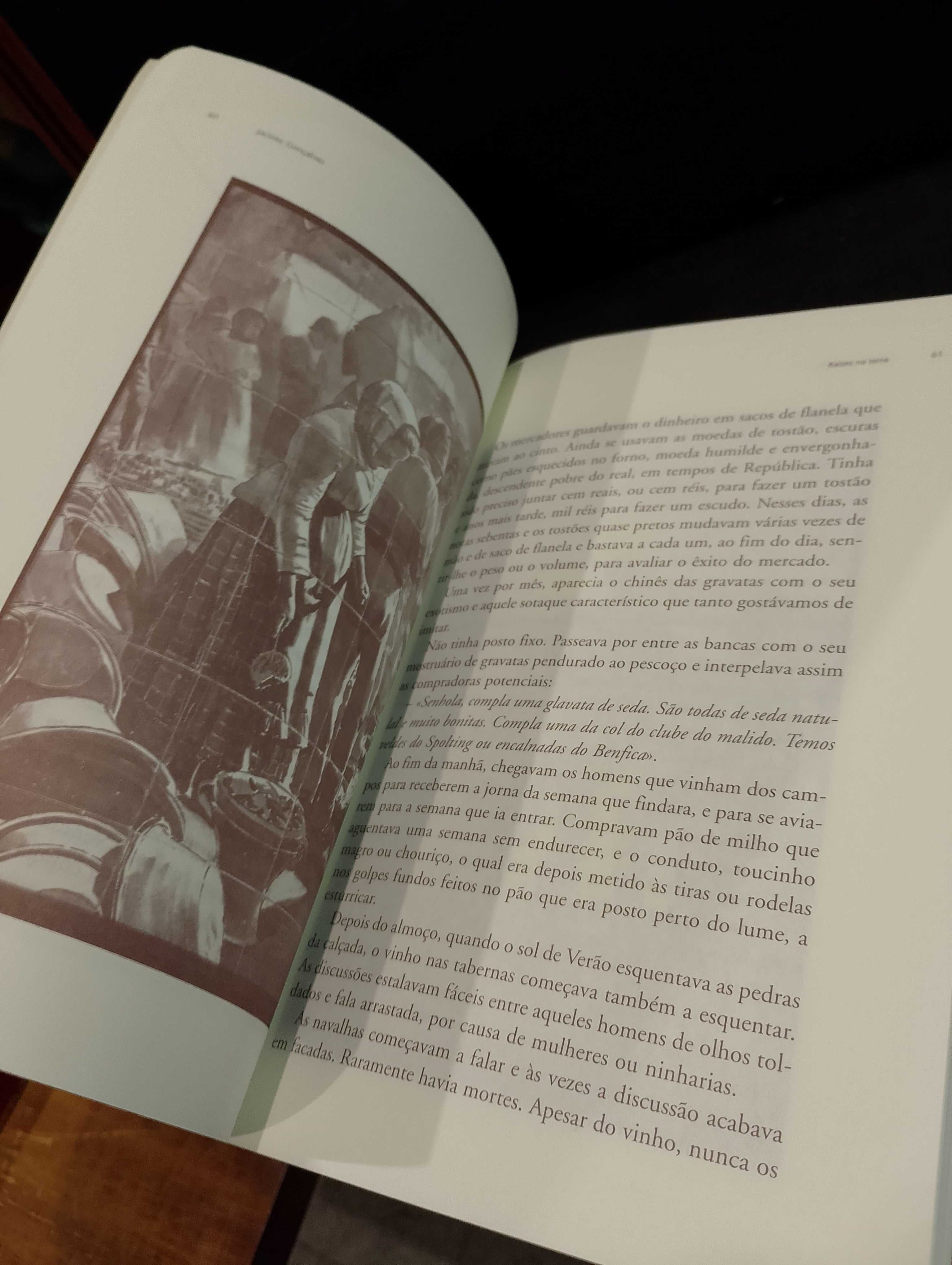 Raízes na Terra - Jacinto Gonçalves 1ª Edição