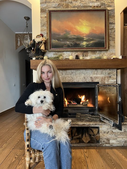 Ніжний кавалер породи болонка готовий до вʼязки!