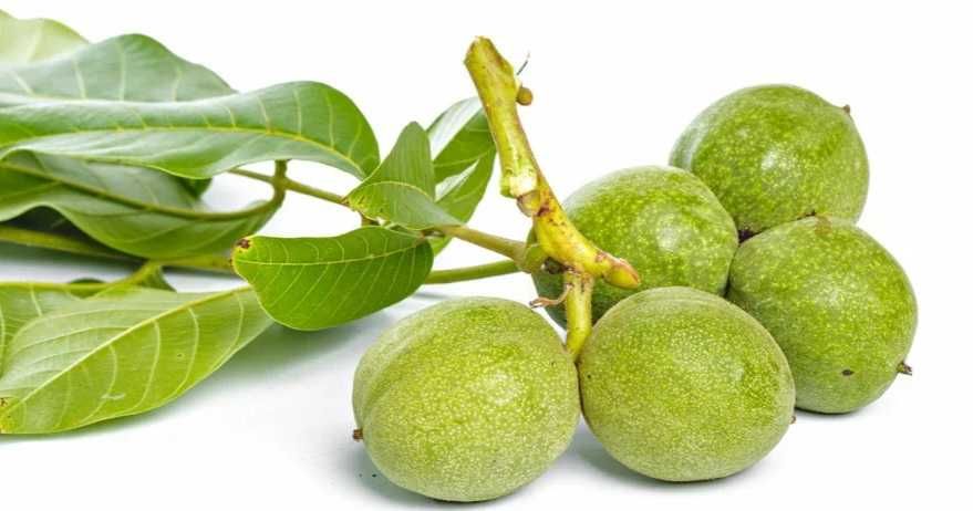 Wyciąg z orzecha włoskiego 0,5