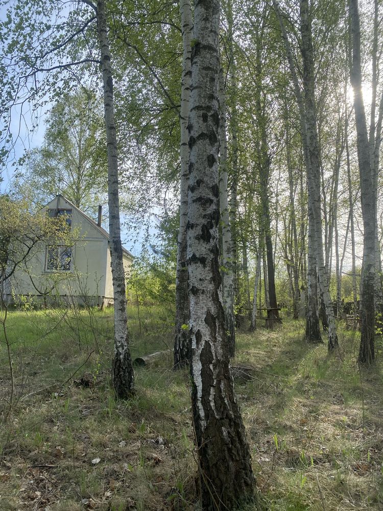 Продам дачу в Бобровському масиві 1