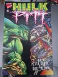 Hulk Pitt - Livro único Peter David and Dale Keown - Baixa Preço
