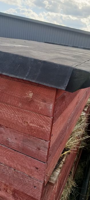 Klata dla królików