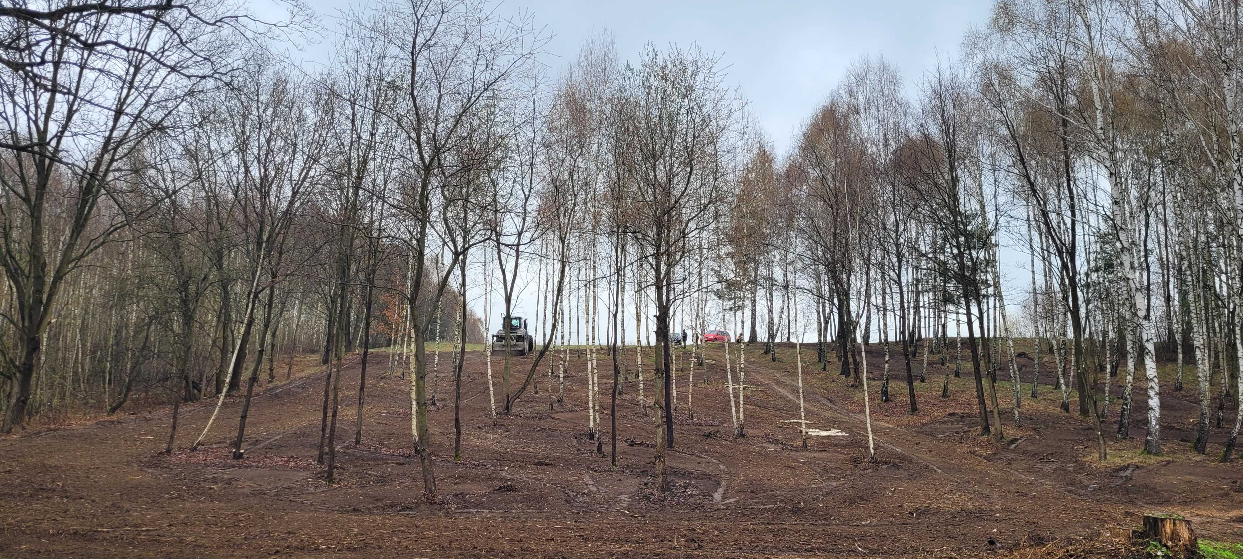 Mulczer leśny | Wycinka drzew | Mulczowanie | Karczowanie