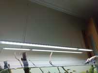 Conjunto de Calhas Led MasWas *Baixa de valor