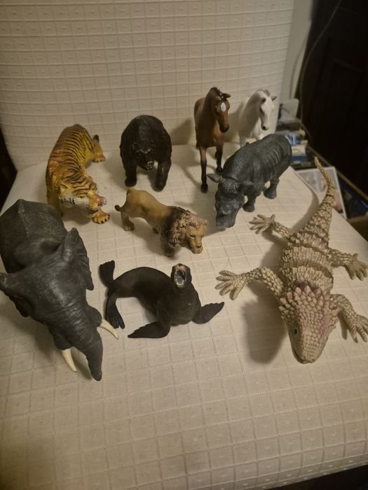 Lote de animais de muita qualidade