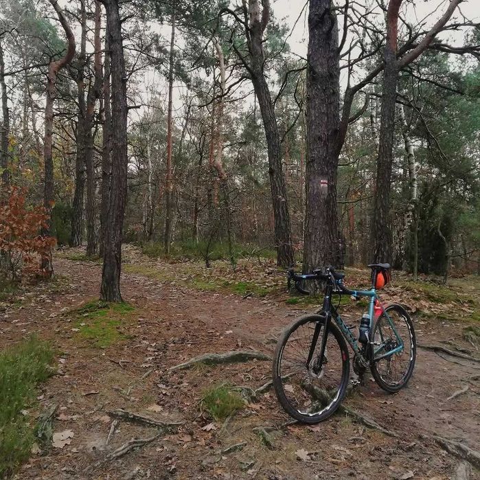 Gravel Loca Bikes