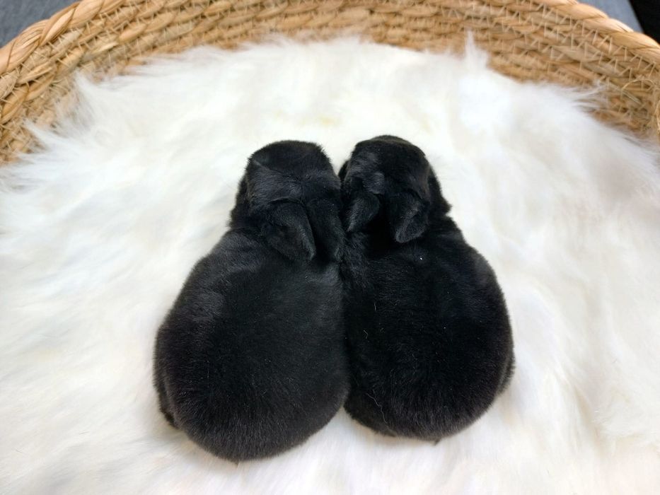 Pluszowy mini rex gepard, trójbarwny, japoński, karzełek, miniaturka