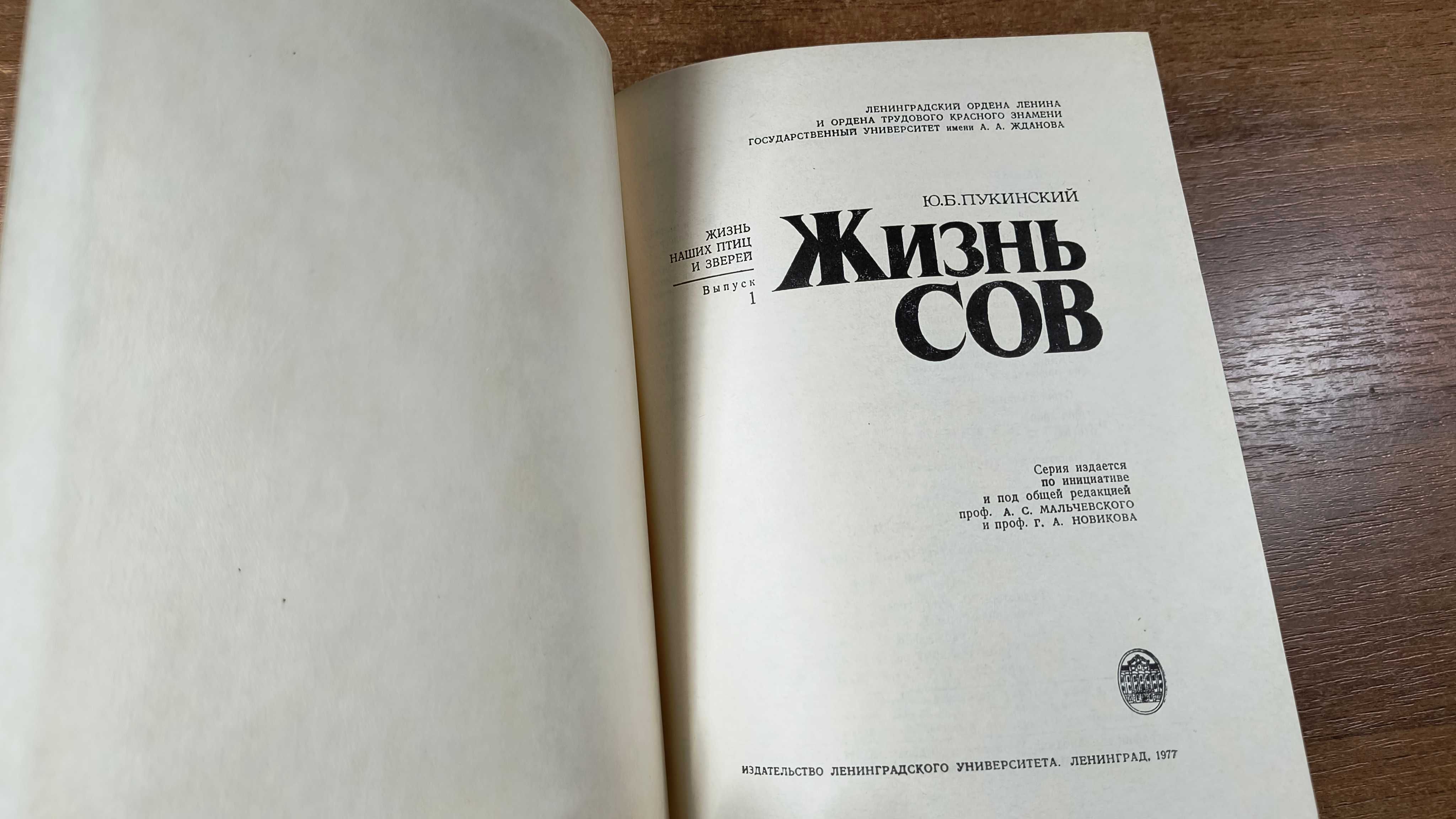 Жизнь сов (Пукинский) - Совы, птицы, орнитология
