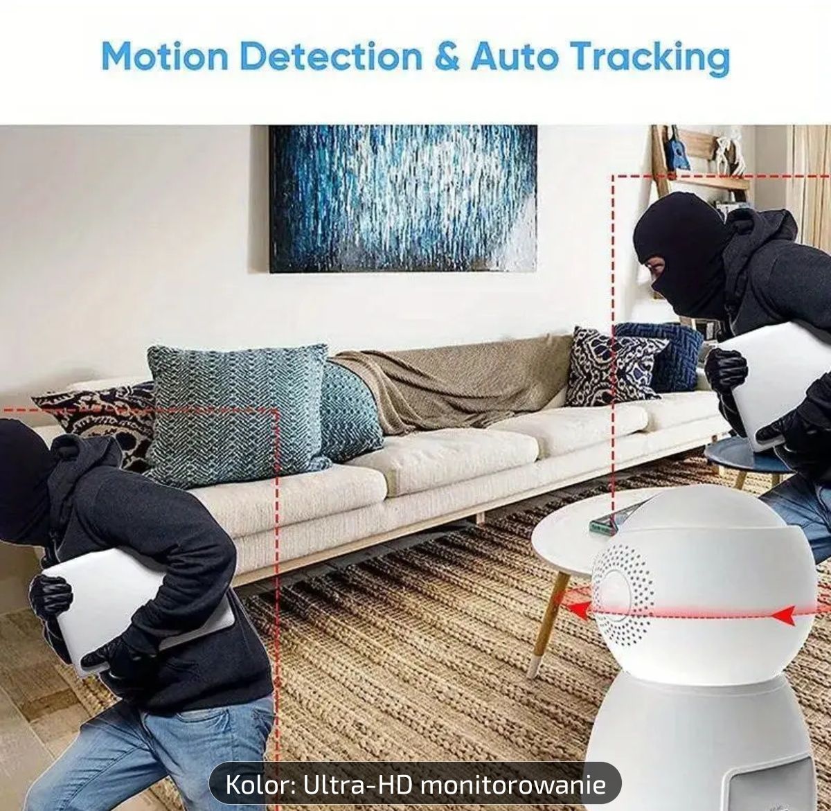 Camera Wireless Network