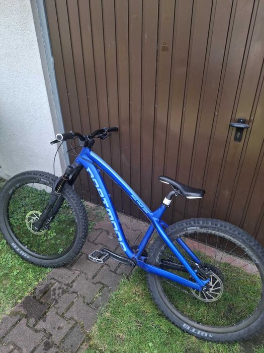 Dartmoor Hornet Pro 2019
